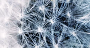 Ecosystèmes intégrés : une nouvelle donne pour les entreprises